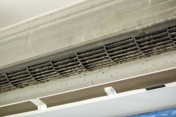 Best Local Air Duct Cleaning Services  in The Acreage, FL